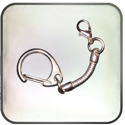 Stainless Steel Carabiner